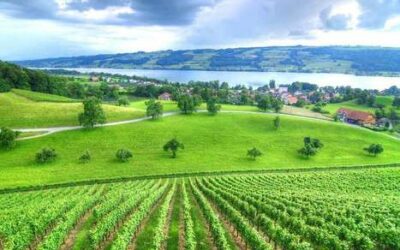 Bien-être et santé par la nature